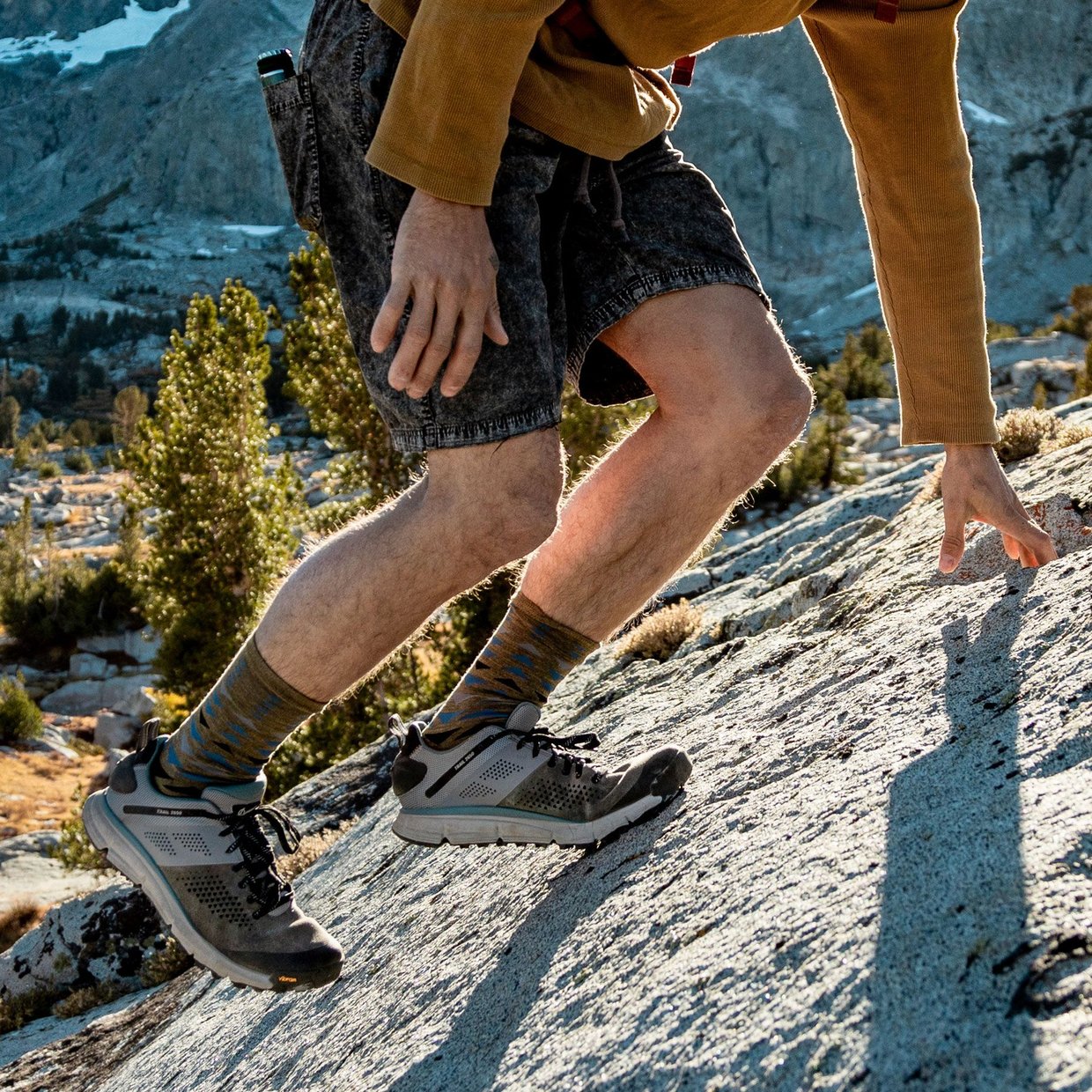 Danner Trail 2650 hiking shoes