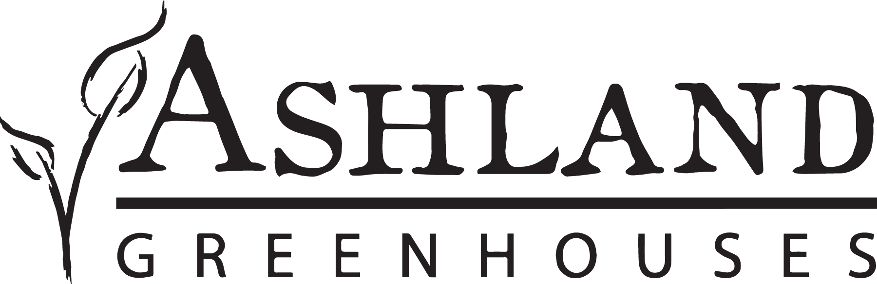 Plants from Ashland Greenhouses