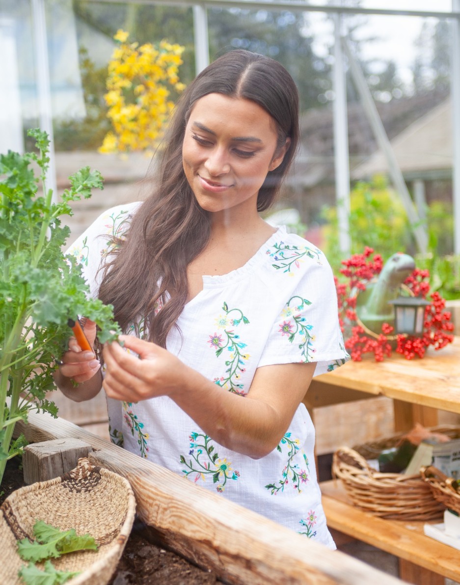 Aventura, Old Ranch, and Dakota Grizzly Spring Collections